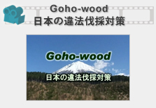 Goho-wood 日本の違法伐採対策